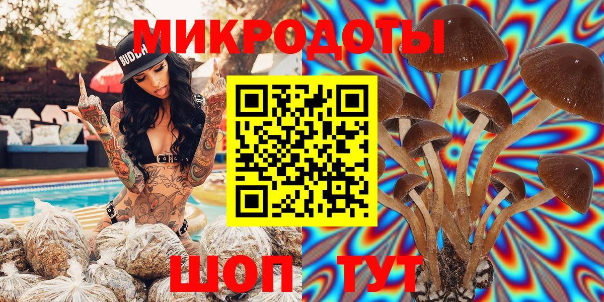 Галлюциногенные грибы мухоморы Конаково