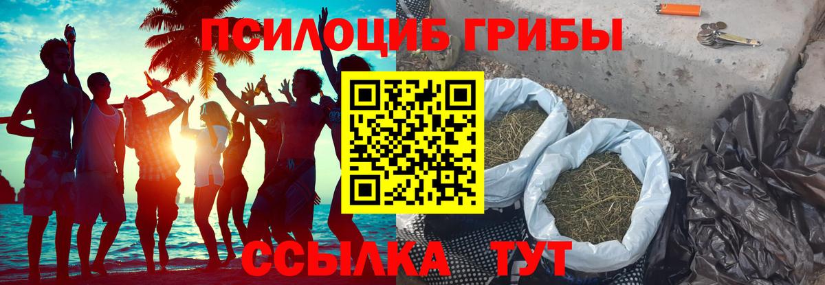 Конаково  закладки  Вход с VPN  Псилоцибиновые грибы MAGIC MUSHROOMS 